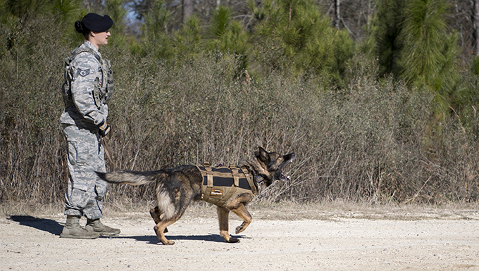 "Make Videos Louder Iphone Volume Problem At&T Cordless Phone